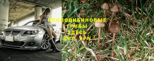 марки nbome Аркадак