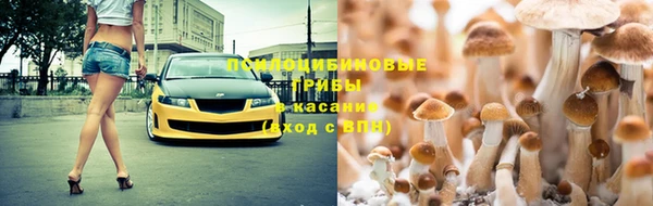 скорость Алзамай