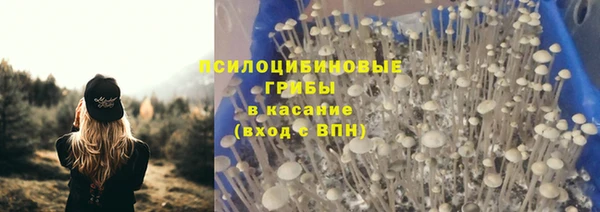 ПСИЛОЦИБИНОВЫЕ ГРИБЫ Арсеньев