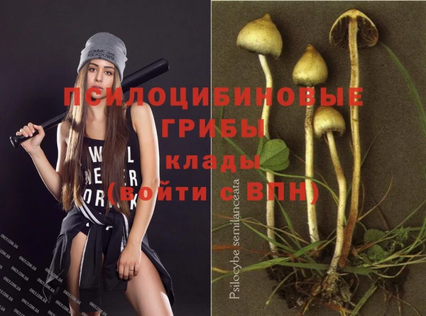 марки nbome Аркадак