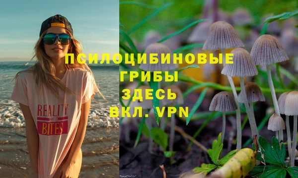 apvp Алексеевка